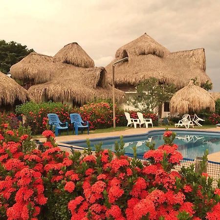 Palomino Breeze Hostal Экстерьер фото