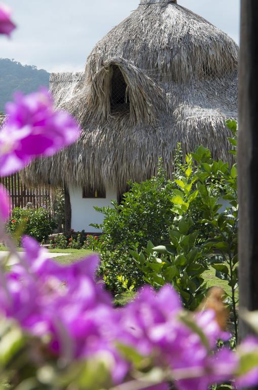 Palomino Breeze Hostal Экстерьер фото
