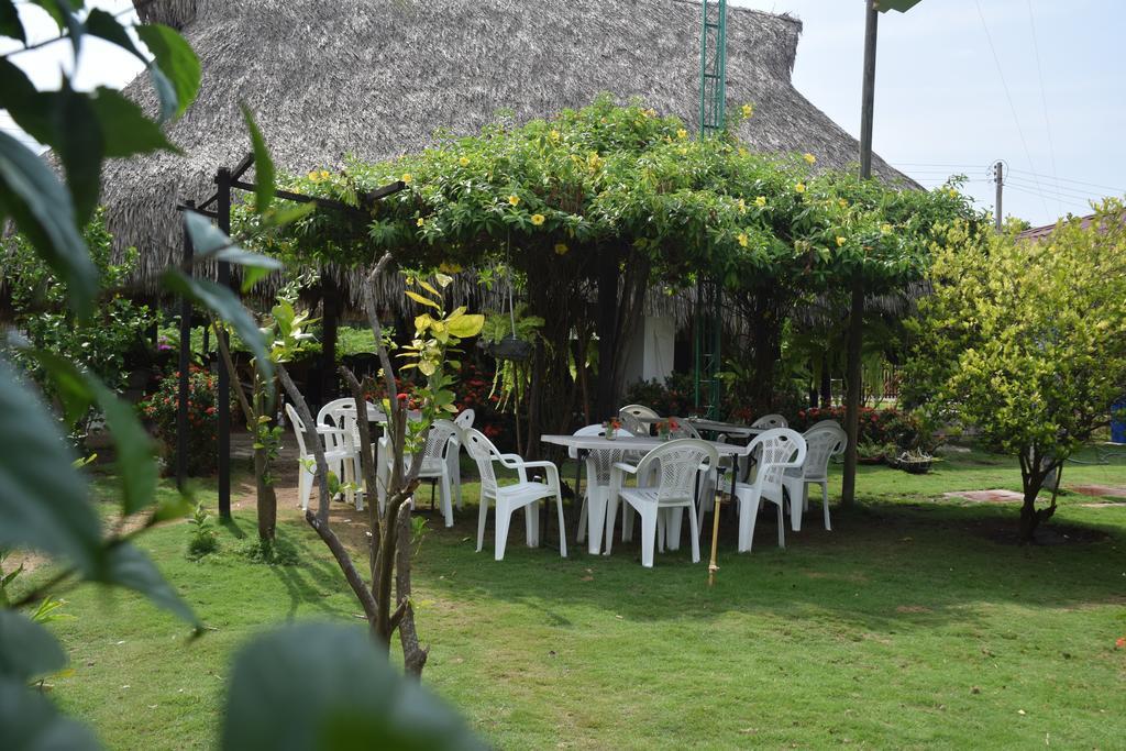 Palomino Breeze Hostal Экстерьер фото