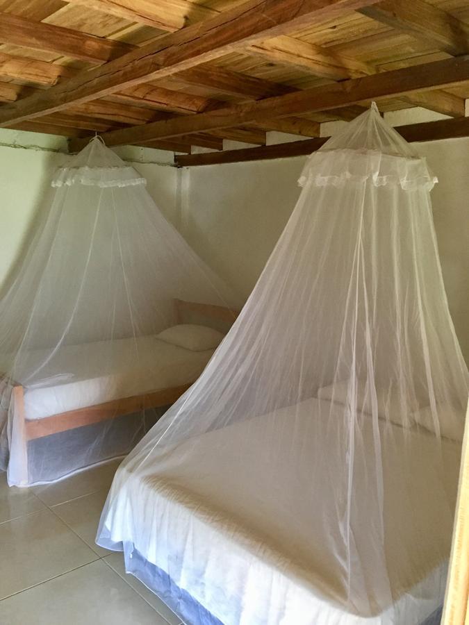 Palomino Breeze Hostal Экстерьер фото